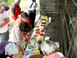 03 08 22 060 Picknick