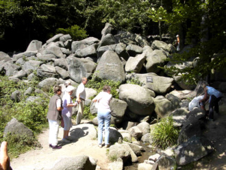 05 08 05 Felsengarten