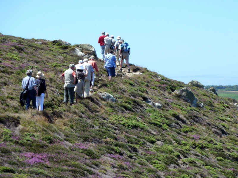 db 019a und weiter13